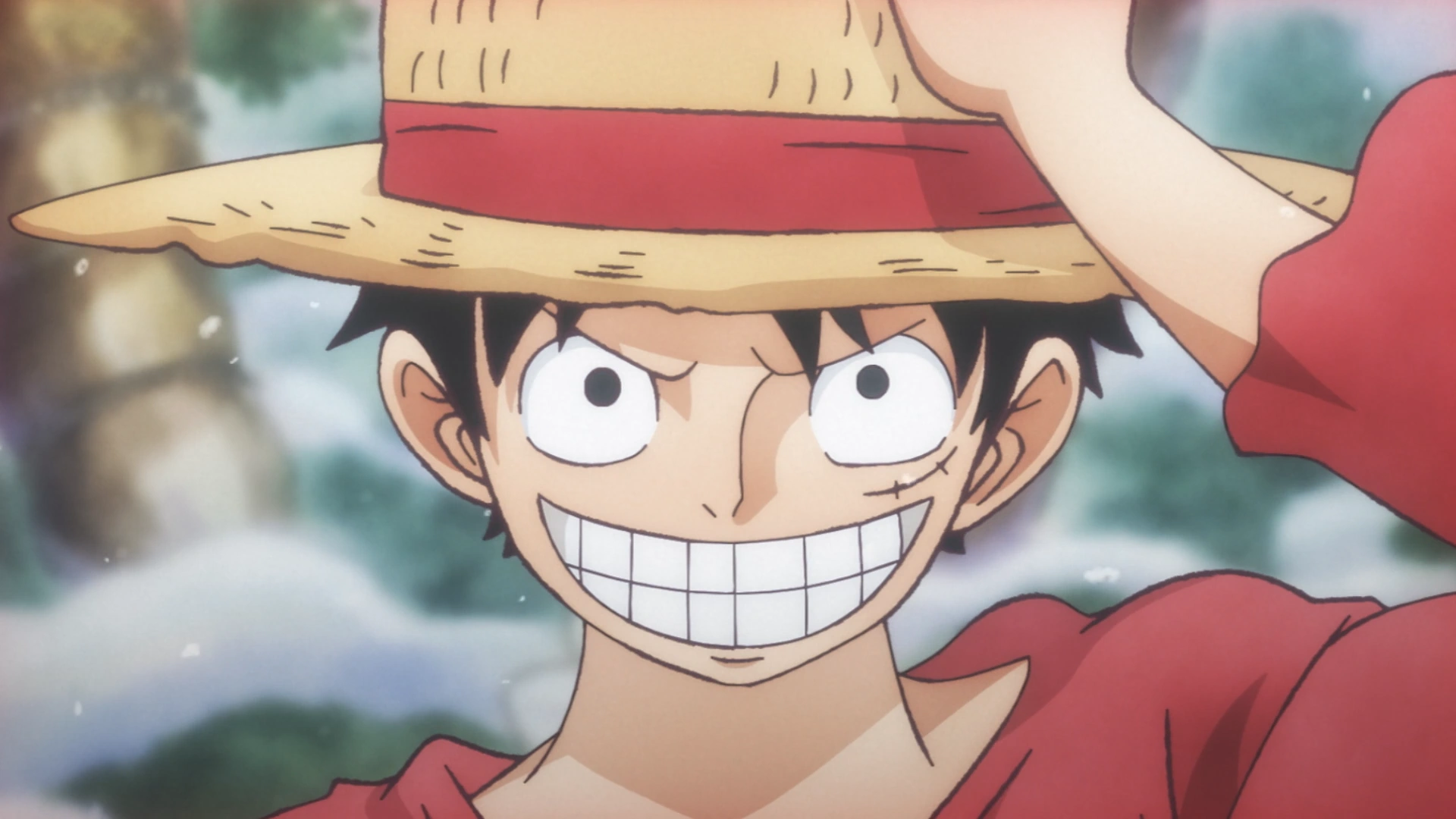 Return to Sabaody Arc