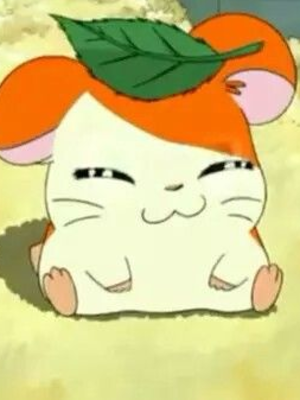 Hamtaro - Hamtaro