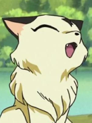Kirara - InuYasha