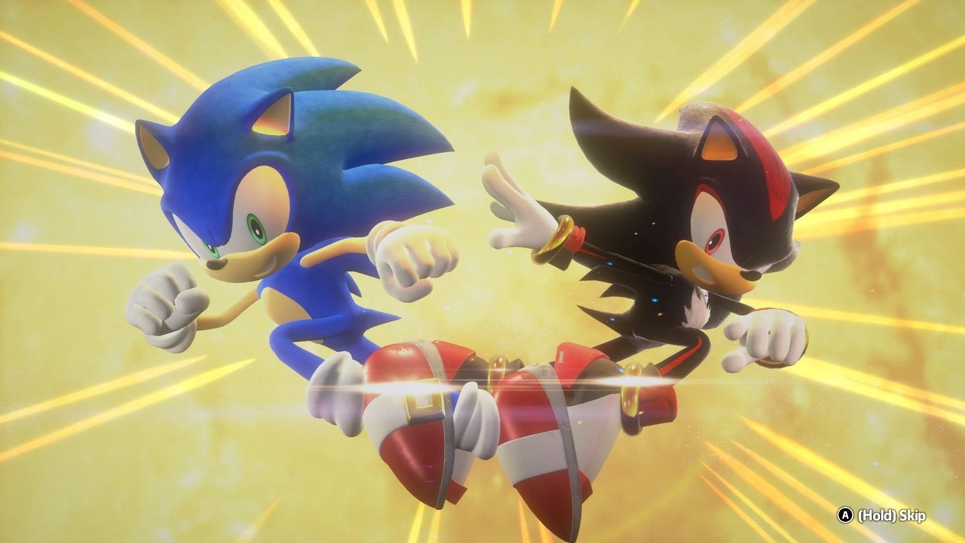 SONIC AND SHADOW