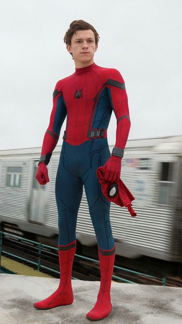 Spider Man (Homecoming Suit)