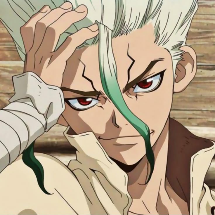 Senku (Dr Stone)