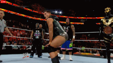 Wrestling moment's that went too far