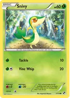 en_US-BW1-001-snivy