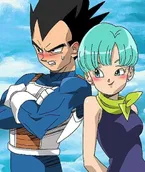 Vegeta & Bulma