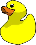 A Duck