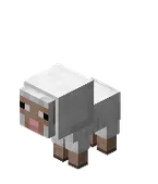 Baby Jeb Sheep