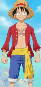 Monkey D. Luffy Anime Post Timeskip Infobox (3)