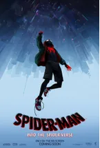 Into the spiderverse