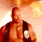 Stone Cold Steve Austin  