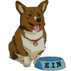 Ein