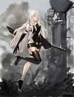 A2