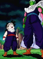 Piccolo and Gohan