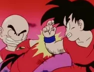 Goku Vs Krillin