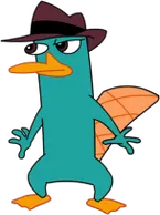 Perry The Platypus