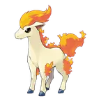 Ponyta