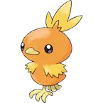 Torchic