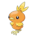 Torchic