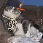 crunk cat