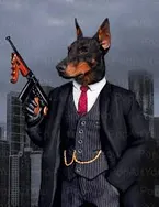 alcomp dog