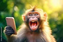 smart MONKEY