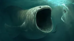 The Bloop (บลุป)