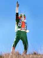 V3