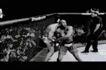 Jon Bones Jones (250 lbs)