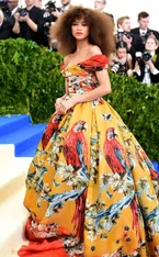 2017 Met Gala