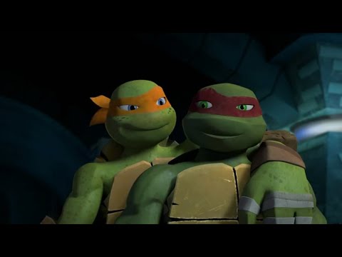 Michelangelo and Raphael (TMNT 2012, Its Raph not Ralph Jason)