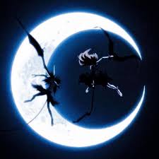 ulquiorra vs hollow ichigo