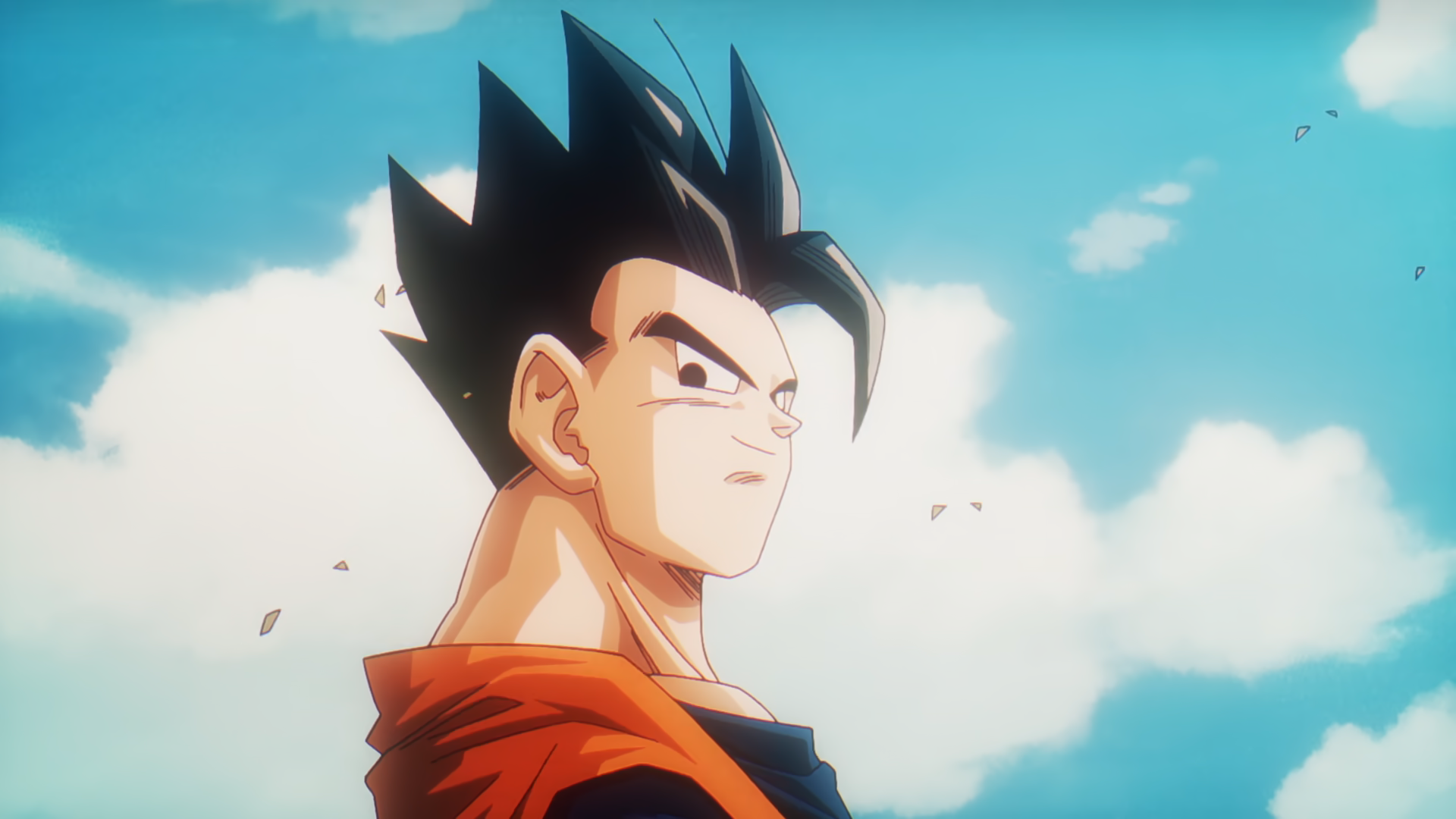 Dbz fighters 
