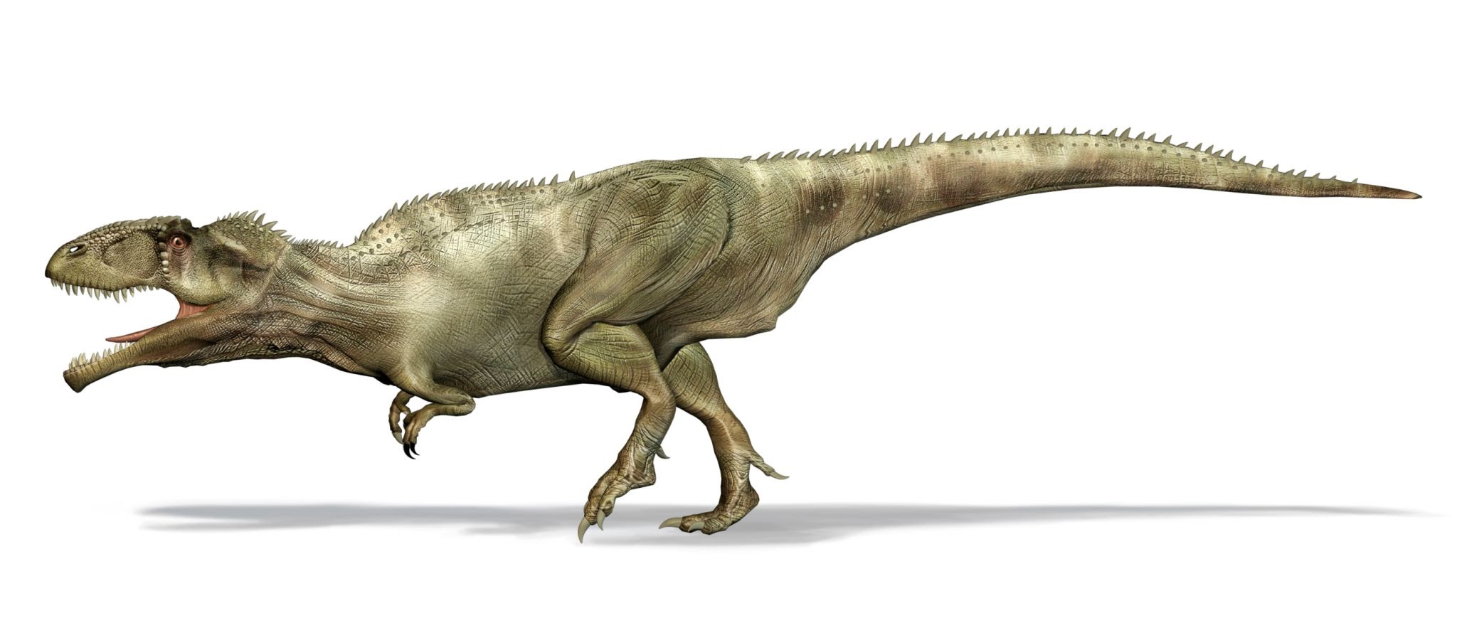 Theropod BR