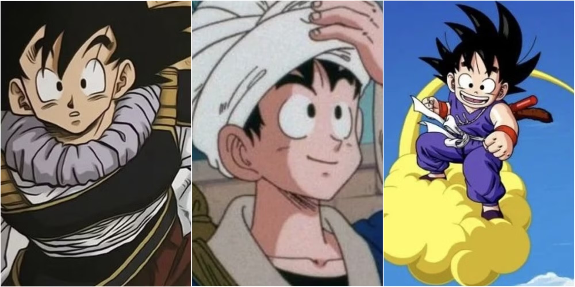 Sage Best Goku Outfits