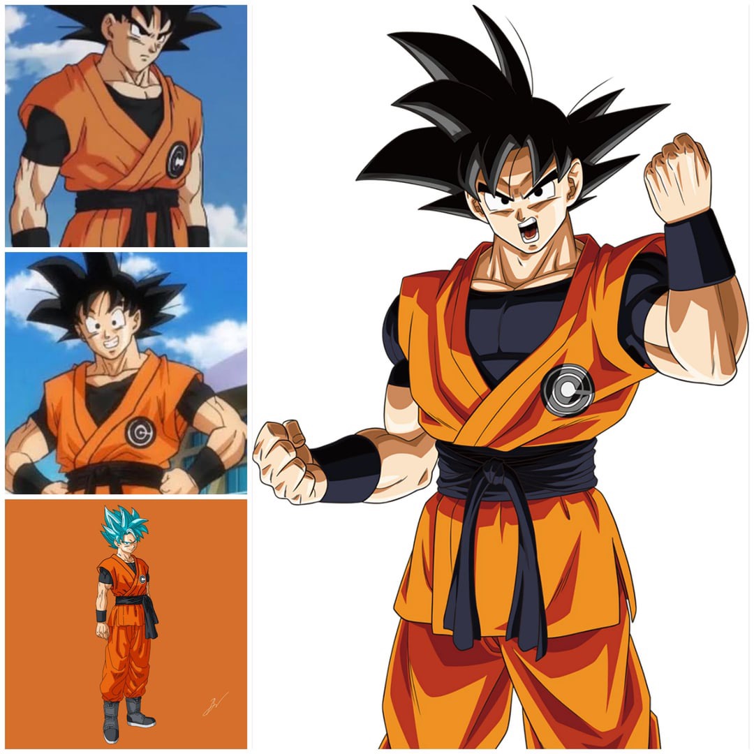 Sage Best Goku Outfits
