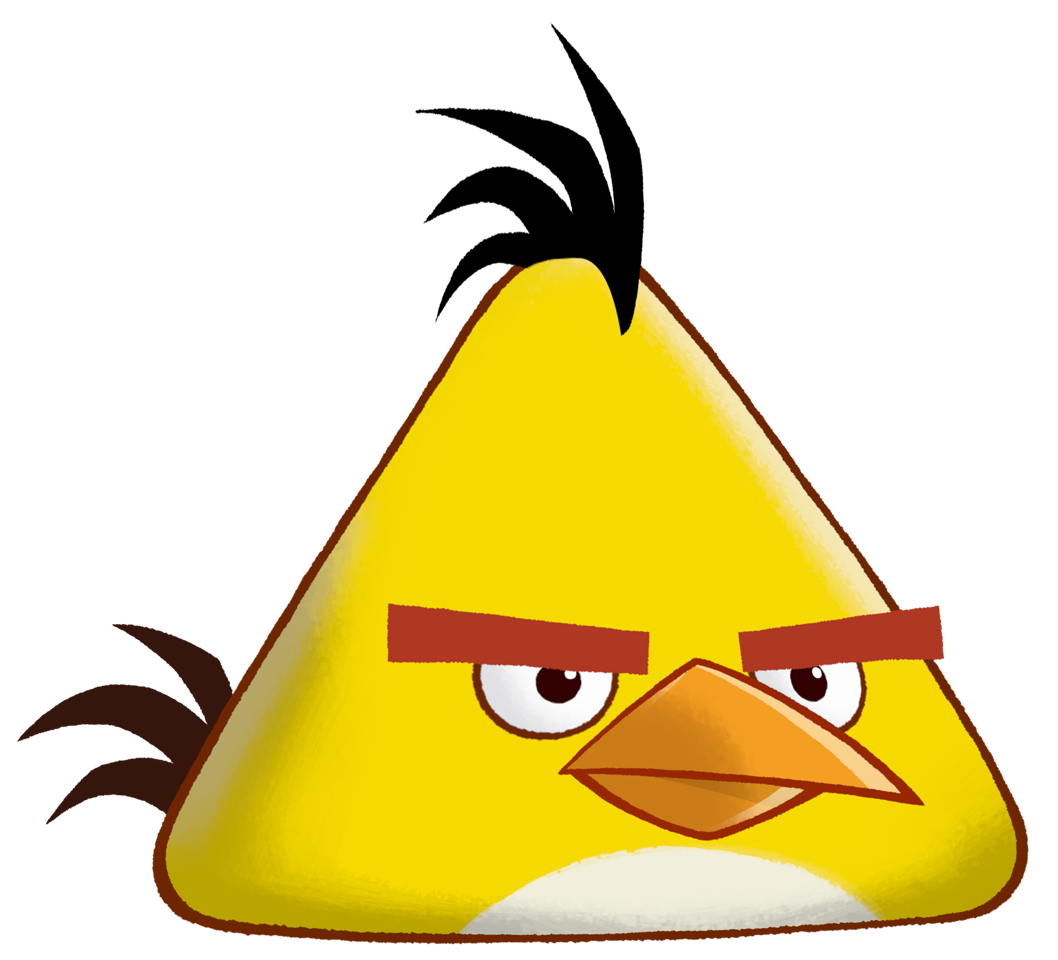 Chuck Bird