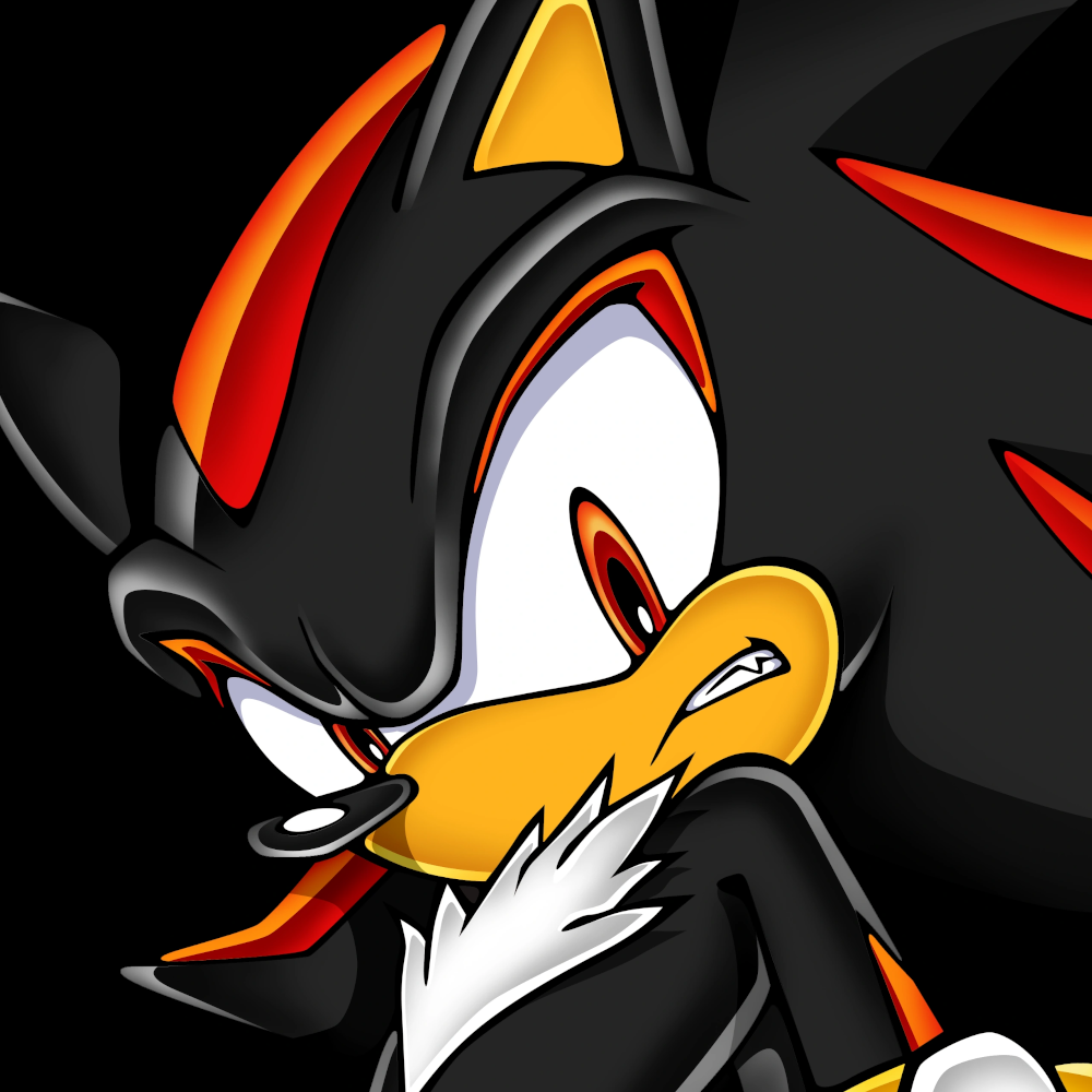 Shadow The Hedgehog