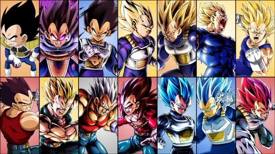 Sage Best Vegeta Outfits