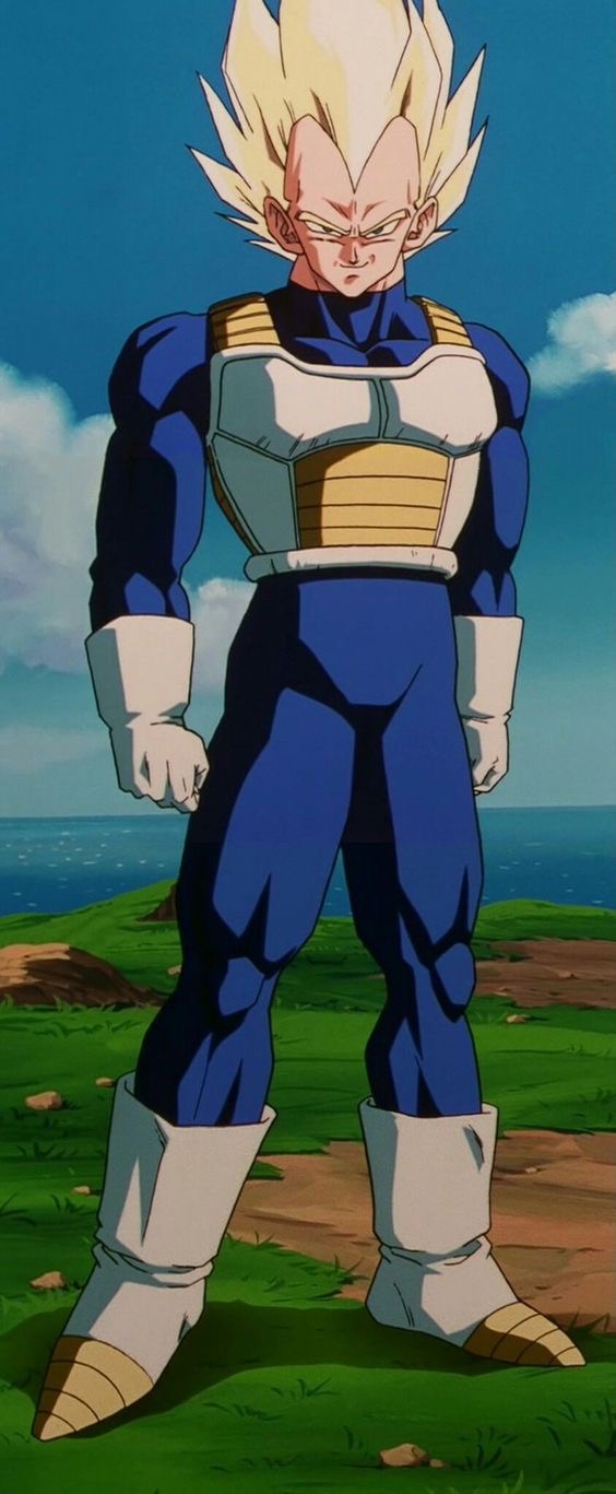 Sage Best Vegeta Outfits
