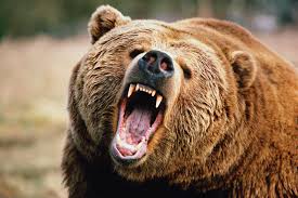 Most Terrifying Animal Sounds