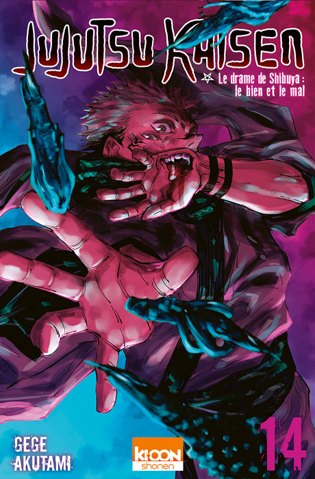 Jujutsu Kaisen 14