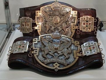 Best Wrestling Belt Design