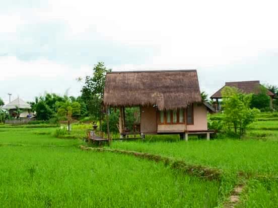 เถียงนา