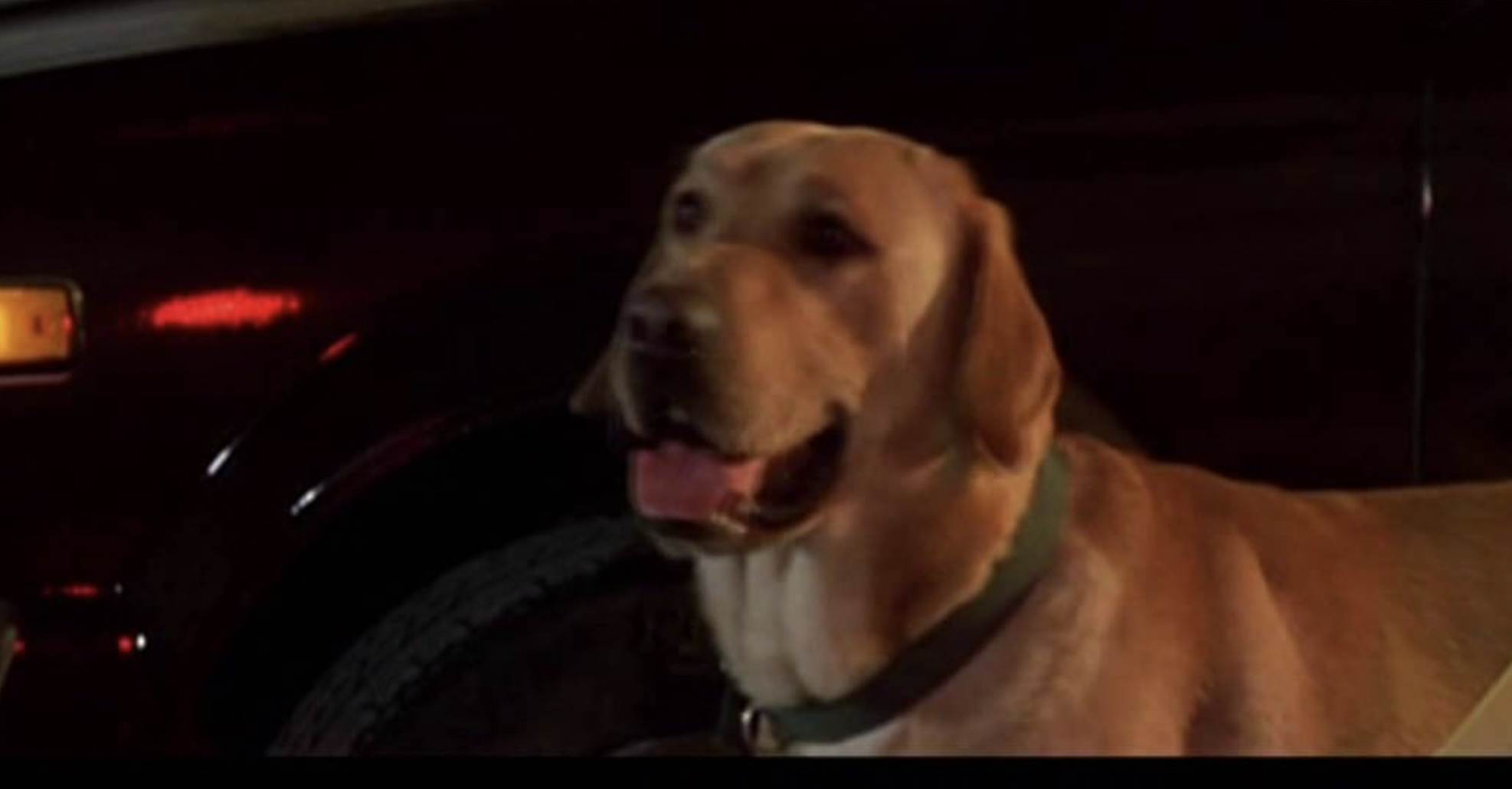 Migliori film catastrofici - Best disaster movies 