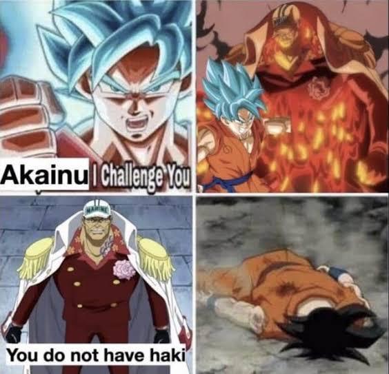 "You Do Not Have Haki"