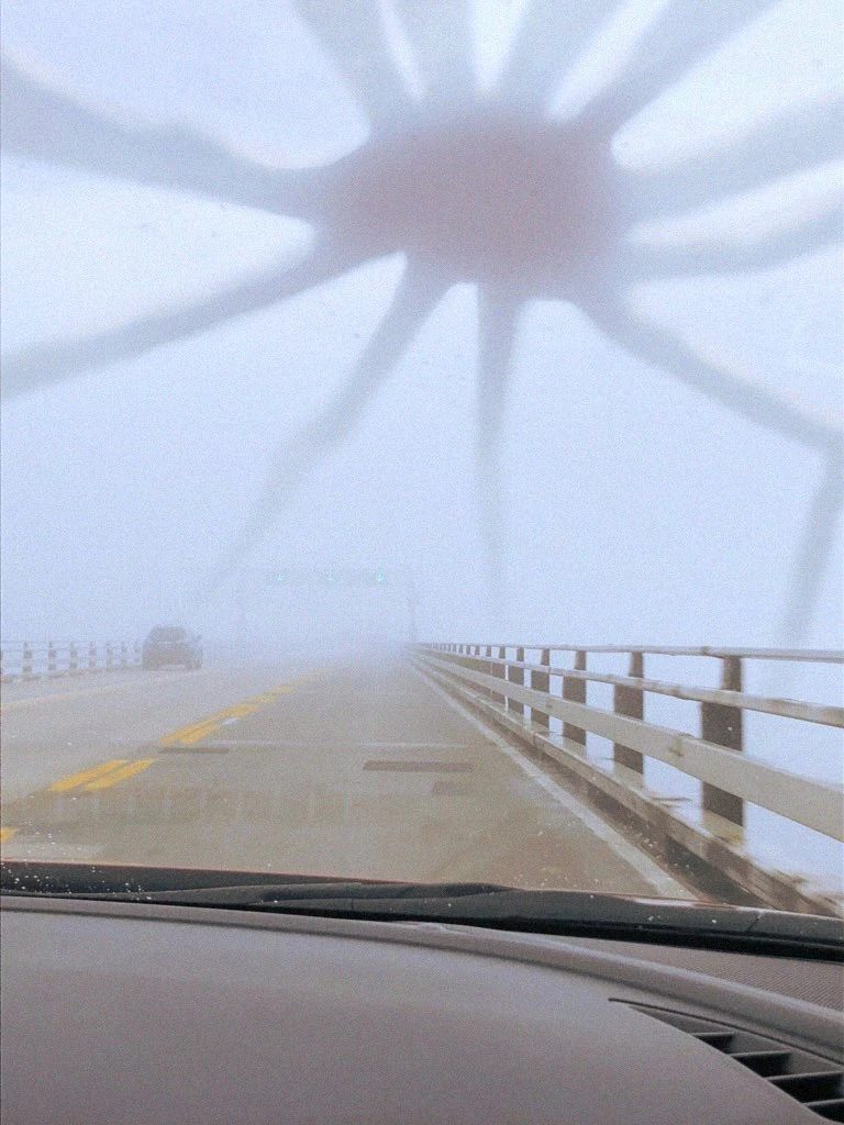The Web Kraken