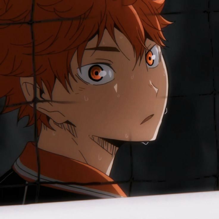 Shoyo Hinata (Haikyu)