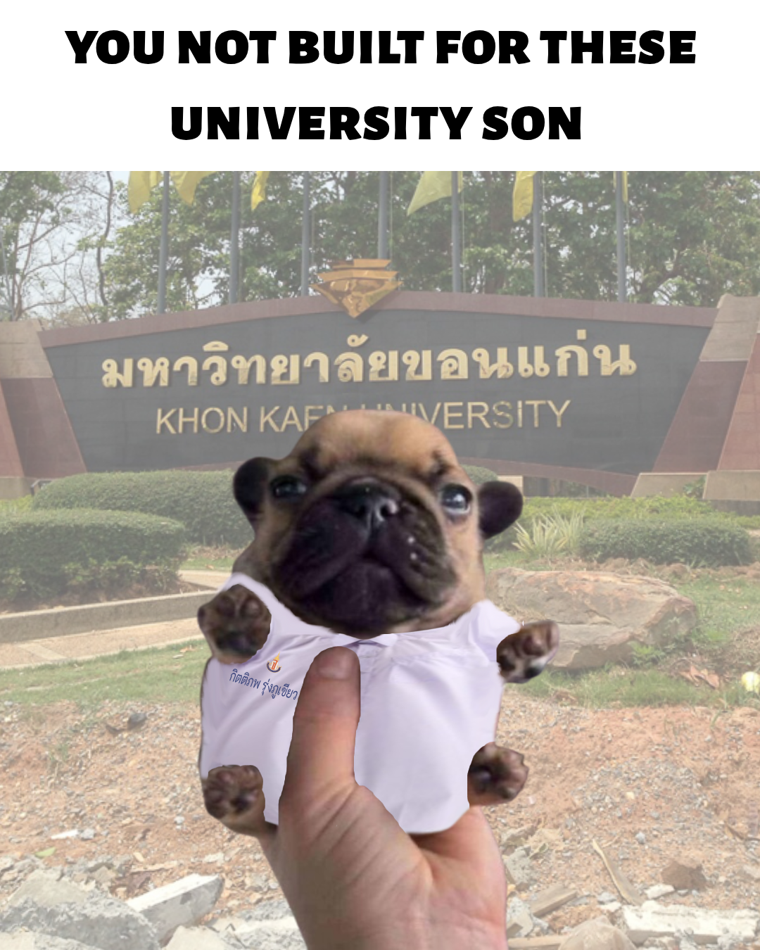 เกย์ไทยในมหาลัยใหม่