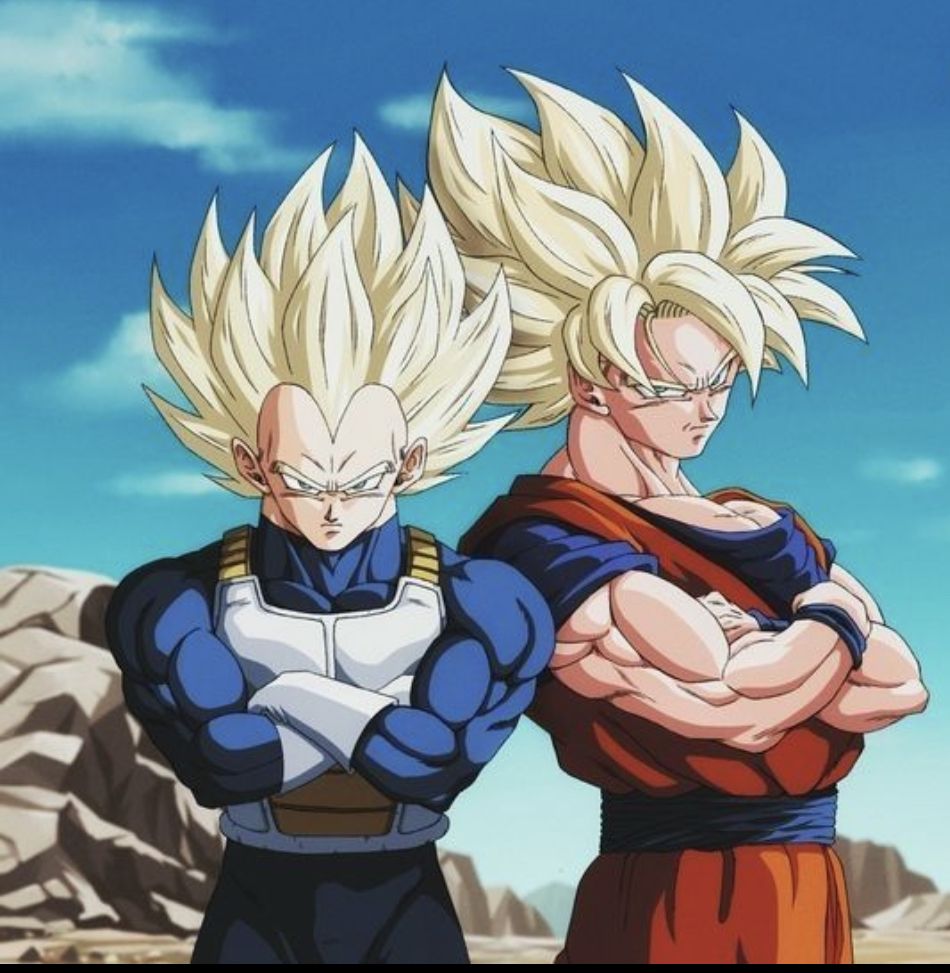 Goku And Vegeta