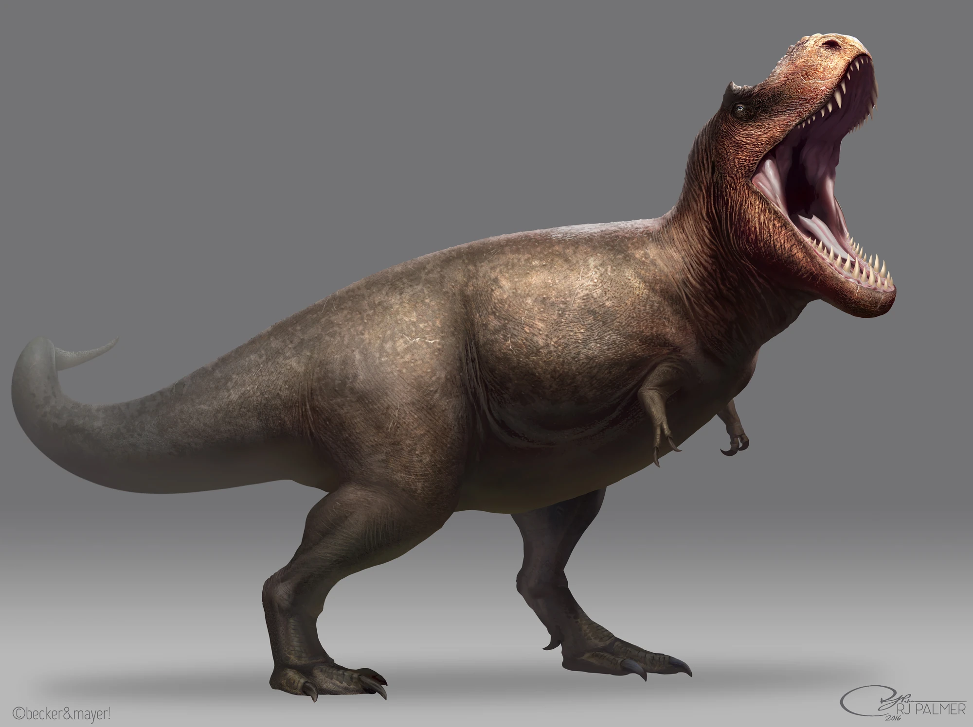 Tyrannosaurus Rex